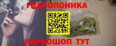 МДПВ Дмитров