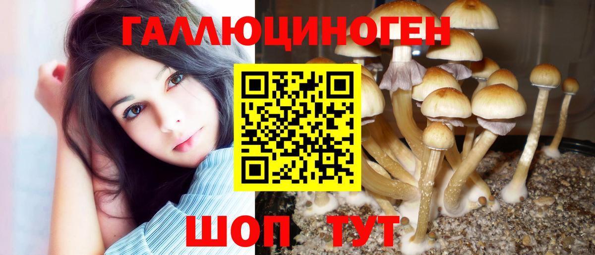 Галлюциногенные грибы MAGIC MUSHROOMS  Псилоцибиновые грибы ЛСД  Борзя  Вход с VPN 