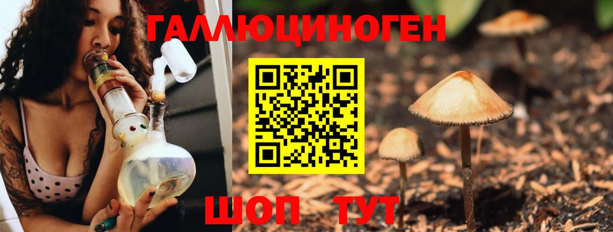 Псилоцибиновые грибы Psilocybine cubensis Борзя